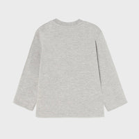 Long Sleeve Interactive T-Shirt - Heathered Grey, Raccoon