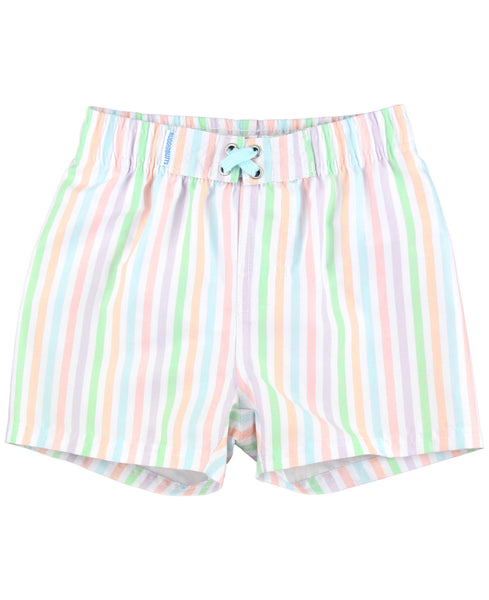 Pale Rainbow Stripe Swim Trunks