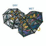 Color Changing Umbrella